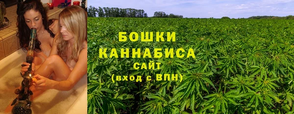 2c-b Инта