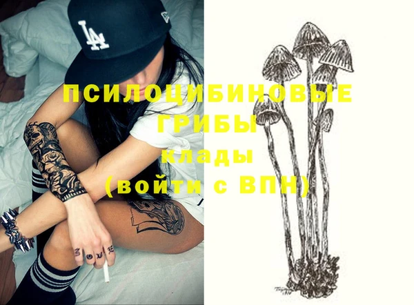 2c-b Инсар